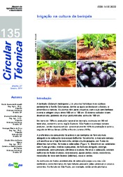 Thumbnail de Irrigação na cultura da berinjela.