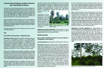 Thumbnail de Características de algumas espécies florestais para arborização de cafezais.