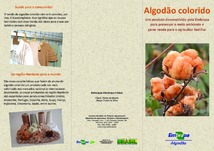 Thumbnail de Algodão colorido: um produto desenvolvido pela Embrapa para preservar o meio ambiente e gerar renda para o agricultor familiar.