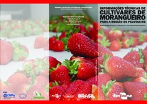 Thumbnail de Informações técnicas de cultivares de morangueiro para a região de Pelotas - RS.