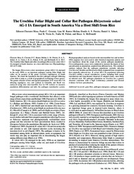 Thumbnail de The Urochloa foliar blight and collar rot pathogen Rhizoctonia solani AG-1 IA emerged in South America via a host shift from rice.