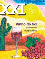 Thumbnail de XXI Ciência para a vida: vinho do sol: tecnologia e manejo sofisticados colocam o Semiárido brasileiro no mapa da vitivinicultura.