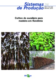 Thumbnail de Cultivo do Eucalipto para madeira em Rondônia.