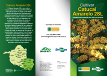 Thumbnail de Cultivar Catucaí Amarelo 2SL: extensão de recomendação para cultivo em Rondônia.