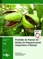 Thumbnail de Podridão de raízes em mudas de nogueira-pecã: diagnóstico e manejo.