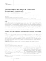 Thumbnail de Synthesis of enriched biochar as a vehicle for phosphorus in tropical soils.