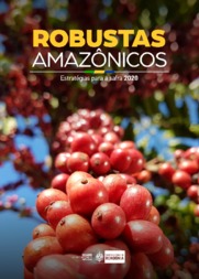 Thumbnail de Robustas Amazônicos: Estratégias para Safra 2020.