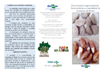 Thumbnail de Pós-colheita e agroindústria: boas práticas e a qualidade de castanha-do-Brasil.