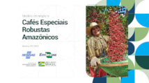 Thumbnail de Modelo de negócio: cafés especiais robustas amazônicos.