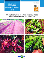Thumbnail de Produção orgânica de batata-doce no período de outono/inverno em São Carlos-SP.