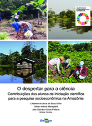 Thumbnail de Nível tecnológico dos agricultores do Lago Caiambé, Tefé, AM: uma análise a partir do perfil socioeconômico dos produtores de mandioca.