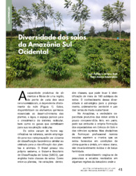Thumbnail de Diversidade dos solos da Amazônia Sul Ocidental.