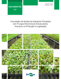 Thumbnail de Inoculação de mudas de espécies florestais com fungos micorrízicos arbusculares: avanços na produção e legislação.