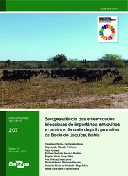 Thumbnail de Soroprevalência das enfermidades infecciosas de importância em ovinos e caprinos de corte do polo produtivo da Bacia do Jacuípe, Bahia.