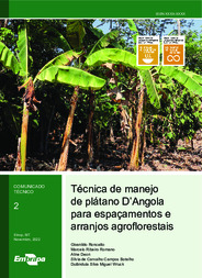 Thumbnail de Técnica de manejo de plátano D'Angola para espaçamentos e arranjos agroflorestais.
