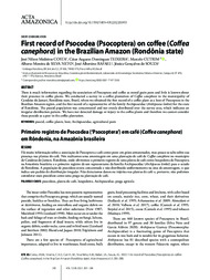 Thumbnail de First record of Psocodea (Psocoptera) on coffee (Coffea canephora) in the Brazilian Amazon (Rondônia state).