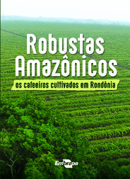 Thumbnail de Robustas Amazônicos: os cafeeiros cultivados em Rondônia.