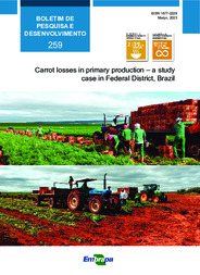 Thumbnail de Carrot losses in primary production: a study case in Federal District, Brazil.