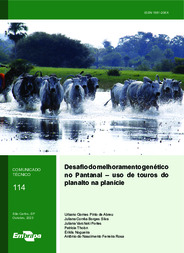 Thumbnail de Desafio do melhoramento genético no Pantanal: uso de touros do planalto na planície.