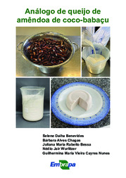 Thumbnail de Análogo de queijo de amêndoa de coco-babaçu.
