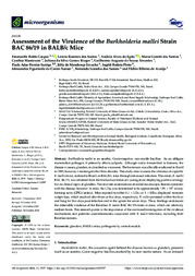 Thumbnail de Assessment of the virulence of the Burkholderia mallei Strain BAC 86/19 in BALB/c Mice.