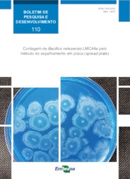 Thumbnail de Contagem de Bacillus velezensis LMC44a pelo método do espalhamento em placa (spread plate).