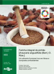Thumbnail de Farinha integral de pinhão [Araucaria angustifolia (Bert.) O. Ktze.]: um alimento funcional rico em fibras e compostos antioxidantes.