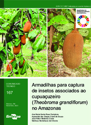 Thumbnail de Armadilhas para captura de insetos associados ao cupuaçuzeiro (Theobroma grandiflorum) no Amazonas.