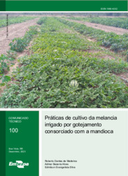 Thumbnail de Práticas de cultivo da melancia irrigado por gotejamento consorciado com a mandioca.