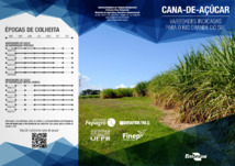 Thumbnail de CANA-DE-AÇÚCAR: variedades indicadas para Rio Grande do Sul.