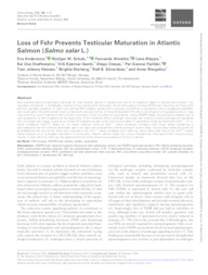 Thumbnail de Loss of fshr prevents testicular maturation in Atlantic Salmon (Salmo salar L.).