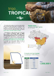 Thumbnail de TRIGO_tropical: o trigo do Brasil central.