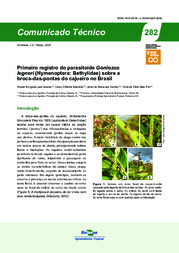 Thumbnail de Primeiro registro do parasitoide Goniozus legneri (Hymenoptera: Bethylidae) sobre a broca-das-pontas do cajueiro no Brasil.