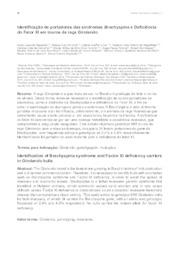 Thumbnail de Identificação de portadores das síndromes Brachyspina e deficiência do Fator XI em touros da raça Girolando.