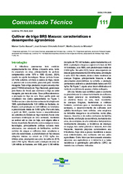 Thumbnail de Cultivar de trigo BRS Macuco: características e desempenho agronômico.