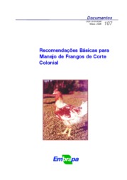Thumbnail de Recomendações básicas para manejo de frango de corte colonial.