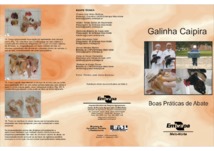 Thumbnail de GALINHA caipira: boas práticas de abate.