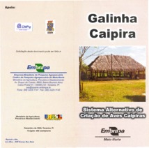 Thumbnail de GALINHA caipira: sistema alternativo de criação de aves caipiras.