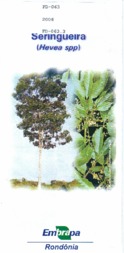 Thumbnail de Seringueira (Hevea spp.).