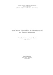 Thumbnail de Perfil social e produtivo do território Vale do Jamari - Rondônia.