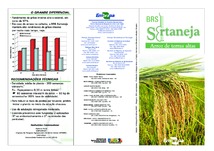 Thumbnail de BRS Sertaneja: arroz de terra altas.