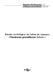 Thumbnail de Estudo morfológico de folhas de cupuaçu (Theobroma grandiflorum Schum.).