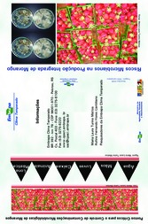 Thumbnail de Riscos microbianos na produção integrada de morango.