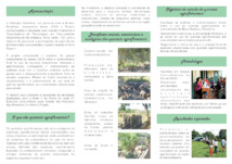Thumbnail de Identificação e caracterização de práticas e conhecimentos locais sobre quintais agroflorestais em comunidades do Baixo Madeira, Rondônia.