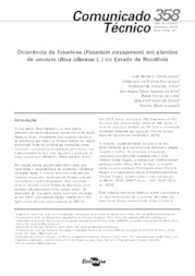 Thumbnail de Ocorrência da fusariose (Fusarium oxysporum) em plantios de urucum(Bixa ollerana L.) no Estado de Rondônia.