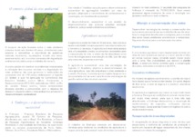 Thumbnail de A Embrapa e o meio ambiente: contribuições da pesquisa para a agricultura sustentável.