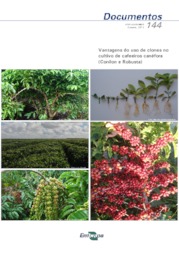 Thumbnail de Vantagens do uso de clones no cultivo de cafeeiros canéfora (Conilon e Robusta).