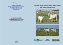 Thumbnail de Agricultura de baixa emissão de carbono - ABC no Pantanal - Banco do Brasil - Embrapa Pantanal.