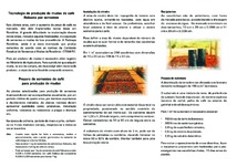 Thumbnail de Tecnologia de produção de mudas de café Robusta por sementes.