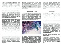 Thumbnail de Cana-de-açúcar + uréia: alternativa para suplementação dos rebanhos em Rondônia.
